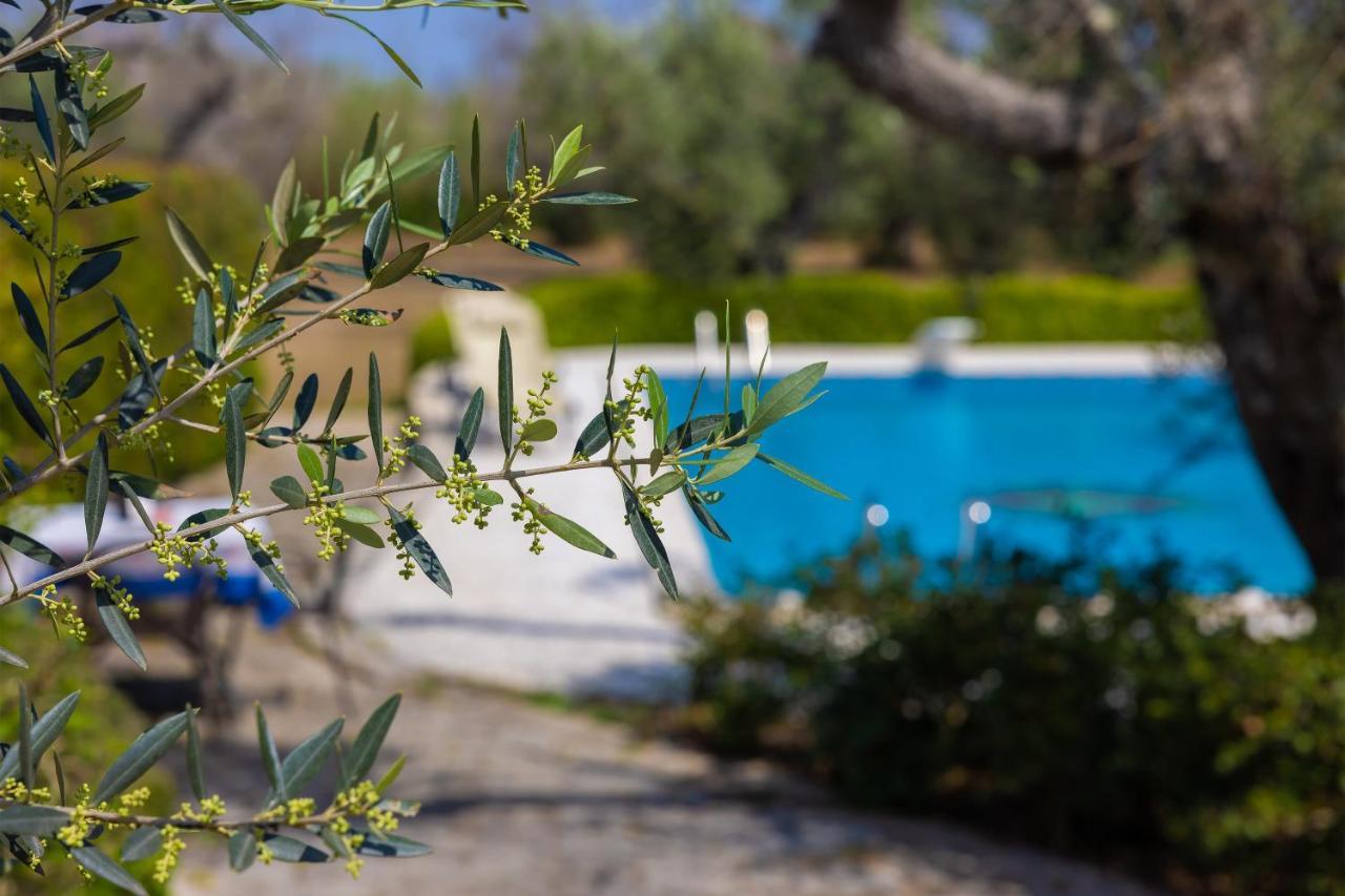 Casa Ulmi Con Piscina Panzió Uggiano la Chiesa Kültér fotó